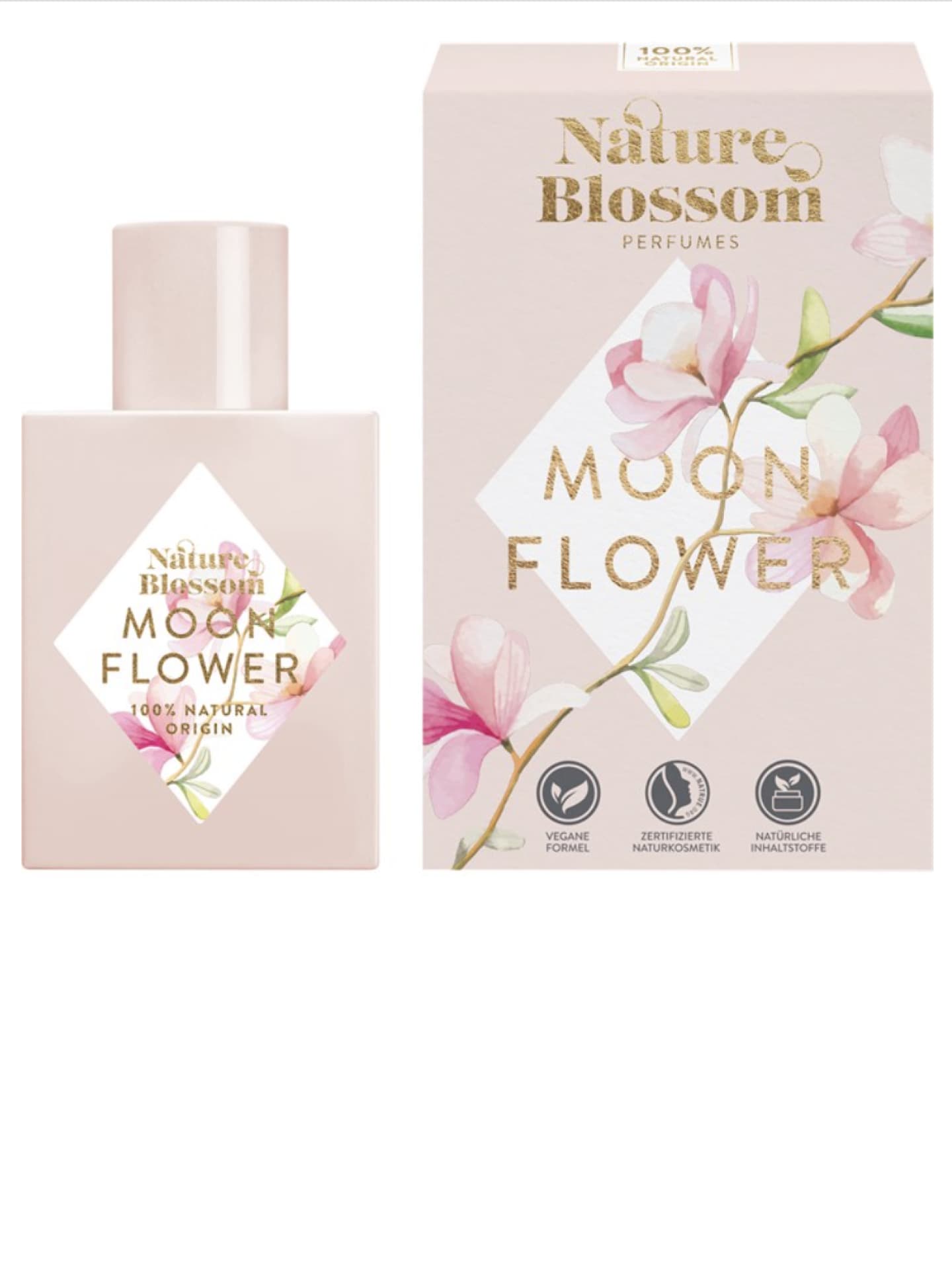 Moon Flower Nature Blossom Moon Flower Nature Blossom