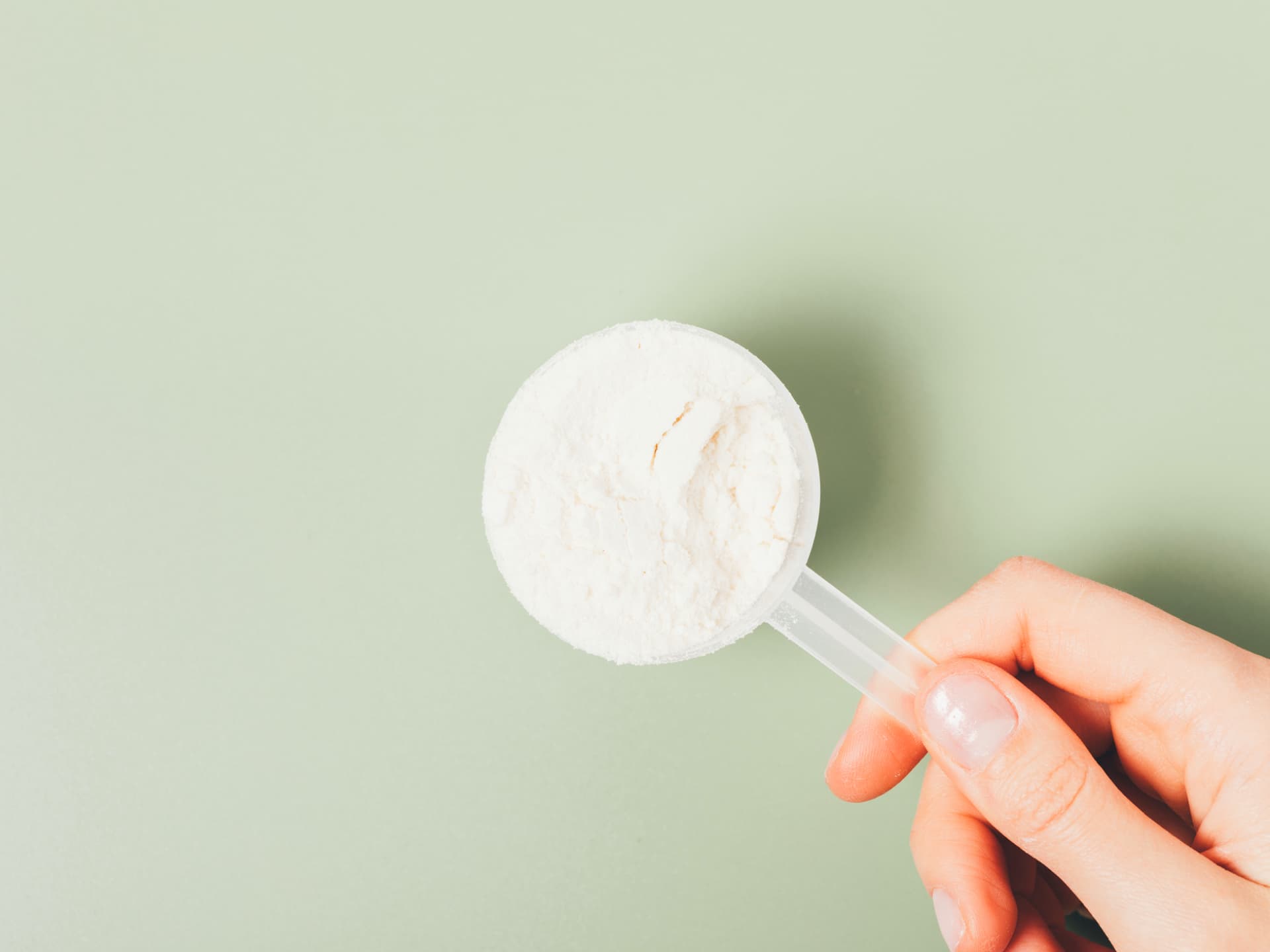 Mit Kieselgur können Sie Schädlinge auf natürliche Weise bekämpfen Kieselgur in der Wohnung anwenden