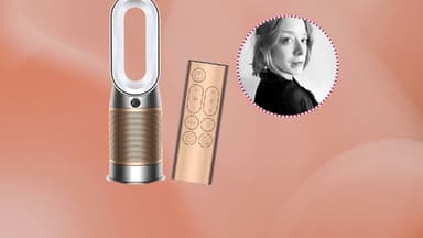 Der Dyson Luftreiniger filtert nicht nur Pollen, sondern sogar Formaldehyde, Gräser und Feinstaub Dyson Luftreiniger Erfahrung - mein Fazit nach 2 Monaten als Allergikerin