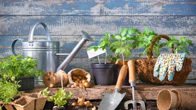 Günstige Tipps zum Gärtnern Günstige Tipps zum Gärtnern