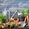 Günstige Tipps zum Gärtnern Günstige Tipps zum Gärtnern
