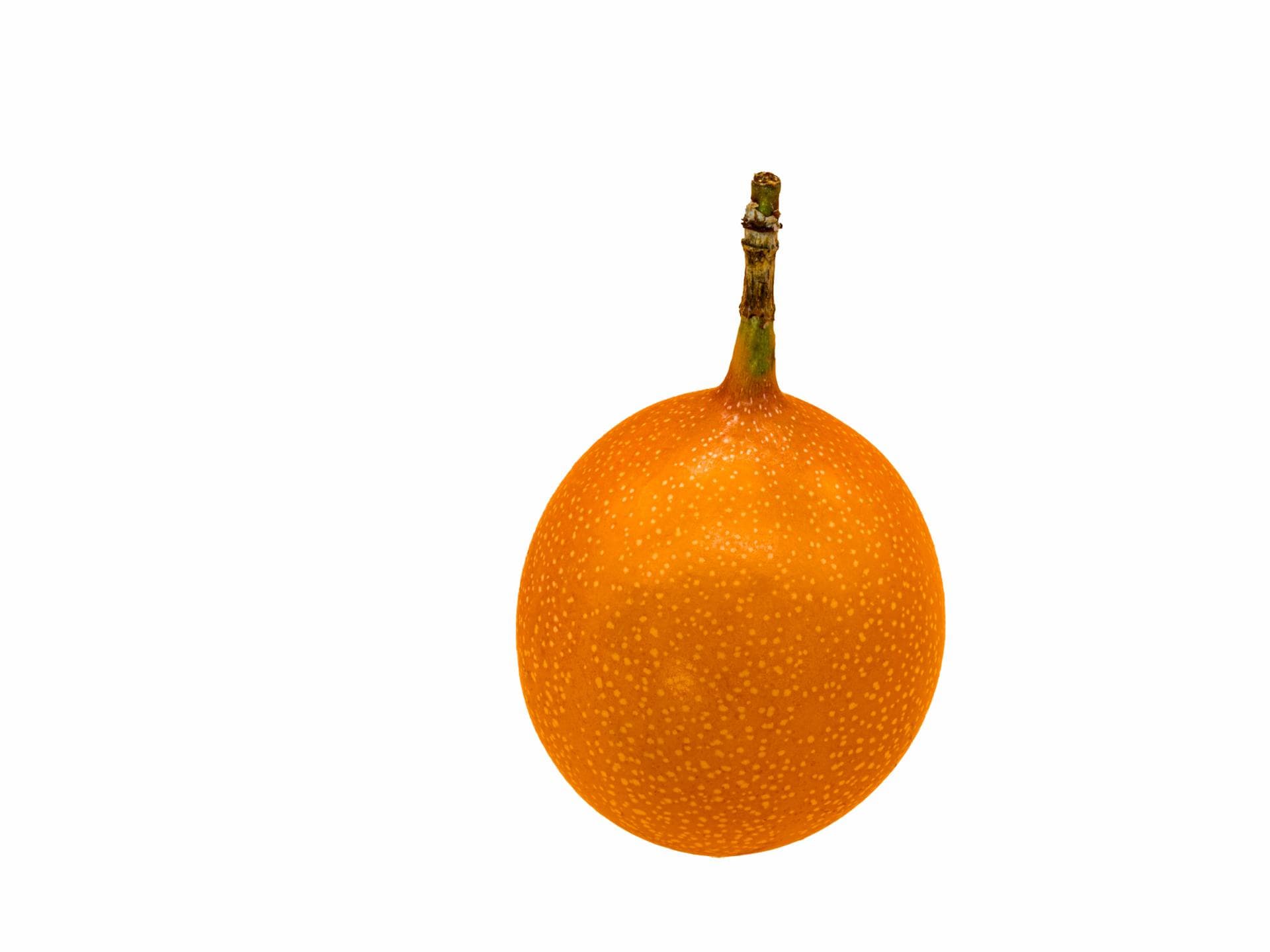 Grenadilla Grenadilla
