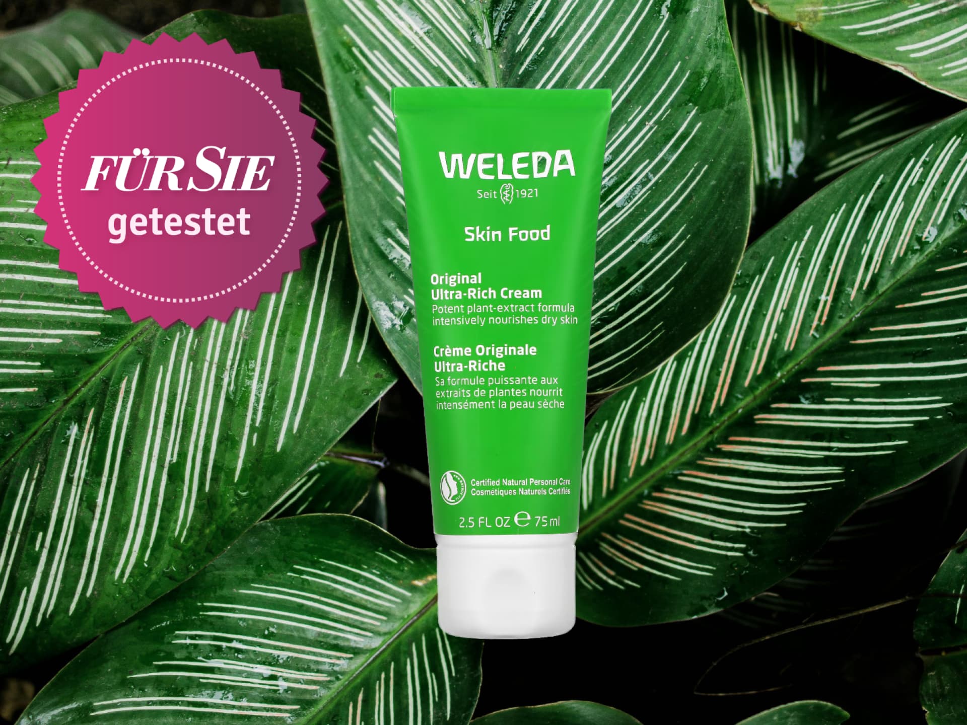 Weleda Skin Food gegen Falten im Test Weleda Skin Food gegen Falten im Test
