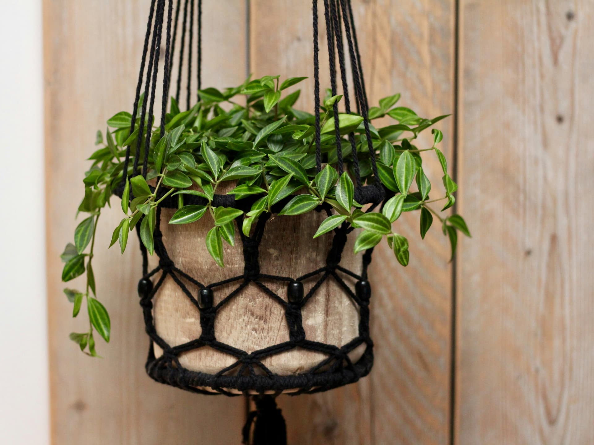 Eine Blumenampel ist einfach perfekt für kleine Balkone Kleinen Balkon gestalten - Blumenampel