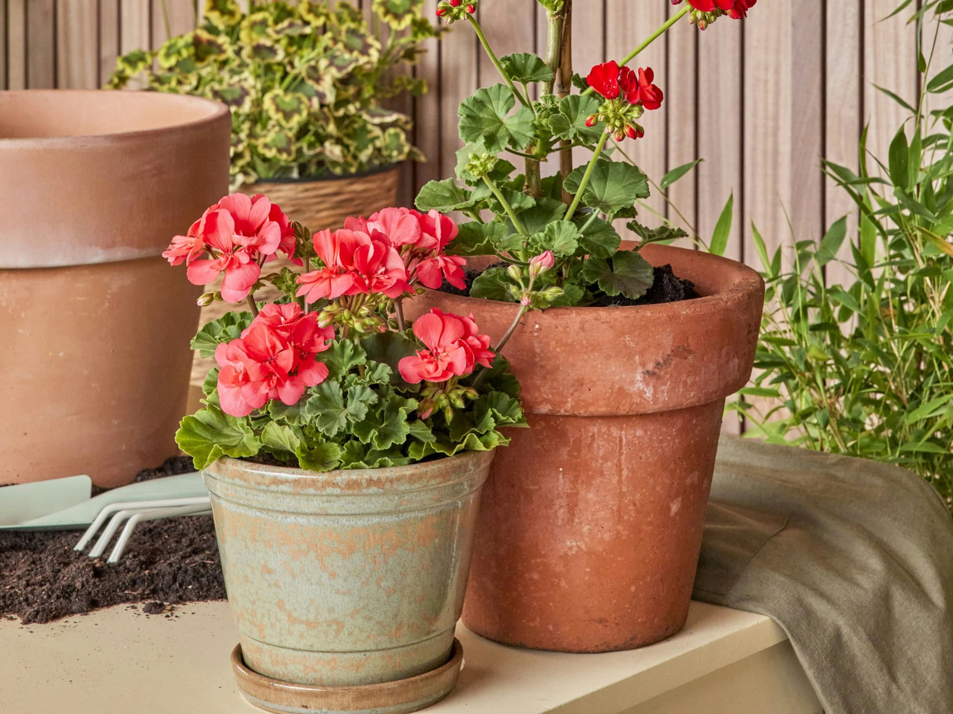 Ordnung ist auf einem kleinen Balkon das A und O! Kleinen Balkon gestalten - Ordentliche Pflanztöpfe