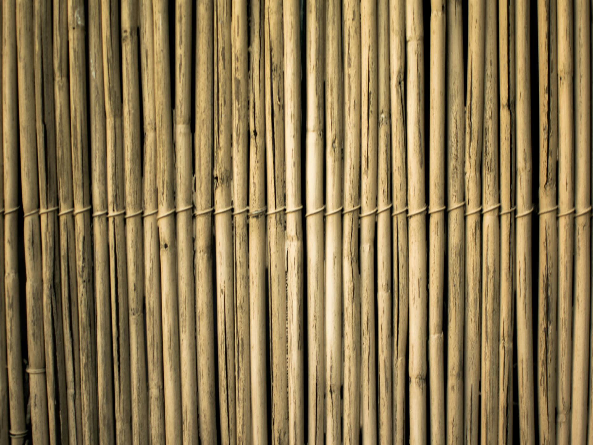 Ein Sichtschutz aus Bambus verschönert jeden kleinen Balkon und ist schön platzsparend Kleinen Balkon gestalten - Sichtschutz aus Bambus