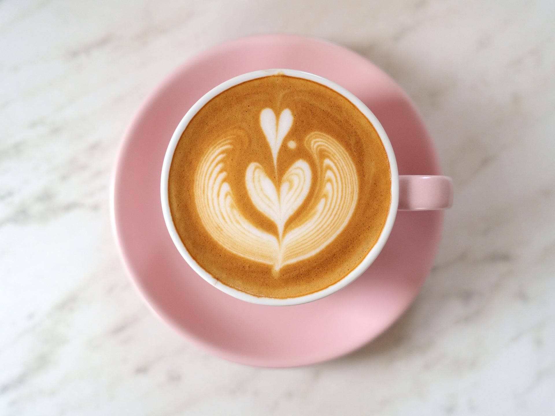 Kaffeesatz im Abfluss Kaffeesatz im Abfluss