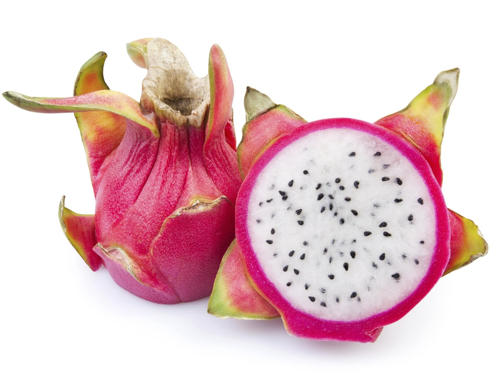 Drachenfrucht Drachenfrucht