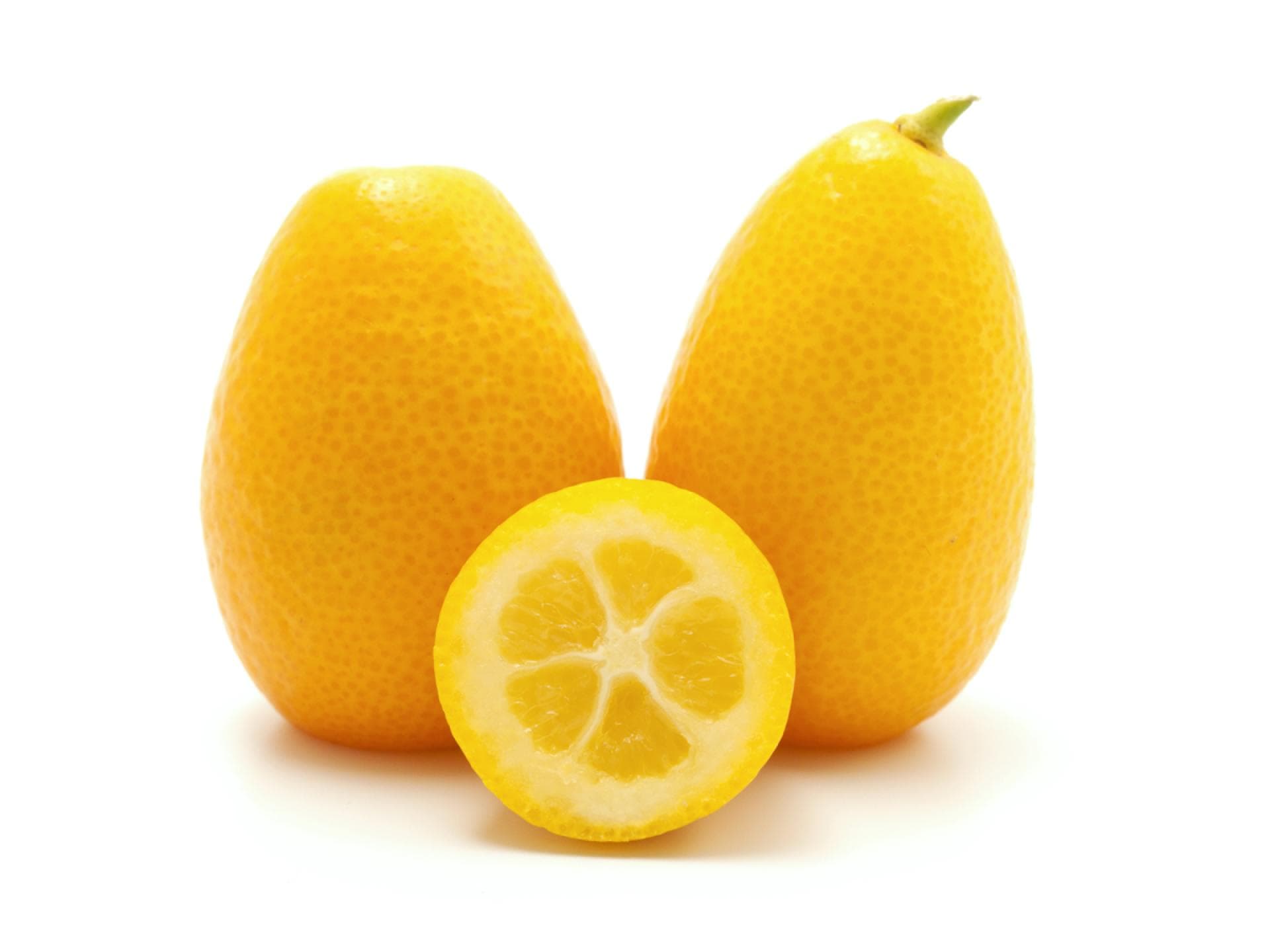 Kumquat Kumquat