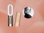 Der Dyson Luftreiniger filtert nicht nur Pollen, sondern sogar Formaldehyde, Gräser und Feinstaub Dyson Luftreiniger Erfahrung - mein Fazit nach 2 Monaten als Allergikerin