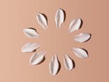 Wir haben eine Sonnencreme gefunden, die nicht klebt und fettet Sonnencreme die nicht klebt und fettet